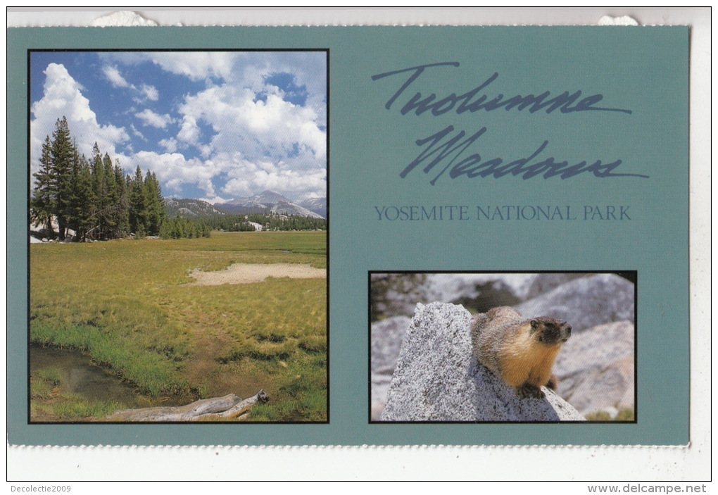 BF18673 Front Left Tpilumne Meadows Yosemite Nat Park Ca USA  Front/back Image - Yosemite