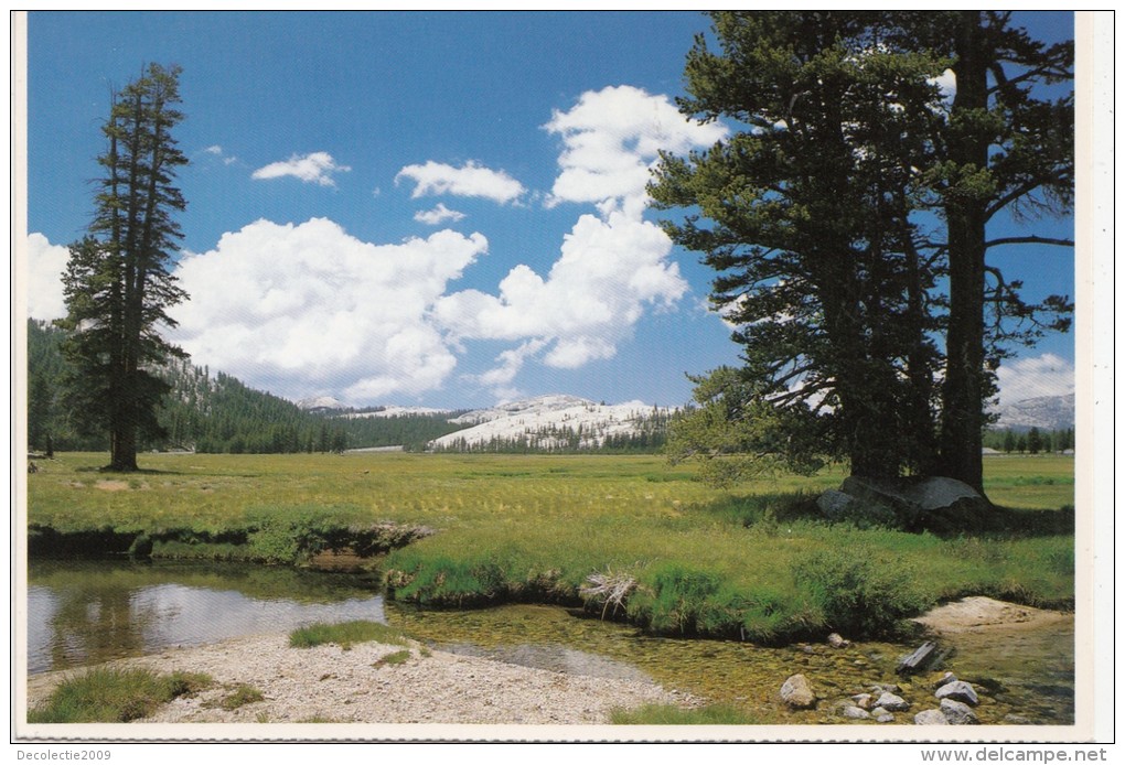 BF18680 Toulumne Meadows  Yosemite Ational Park USA  Front/back Image - Yosemite