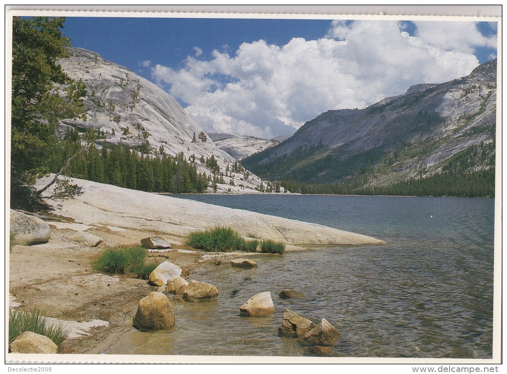 BF18682 Tenaya Lake  Yosemite National Park USA  Front/back Image - Yosemite