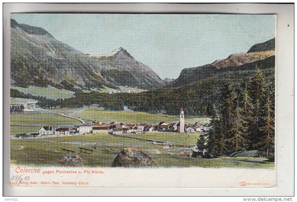 CH 7505 CELERINA, Panorama, 1903 - Celerina/Schlarigna