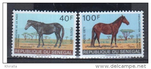 SENEGAL    1971                N°    343  / 344       COTE   6 € 75         ( D 111 ) - Senegal (1960-...)