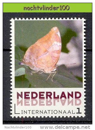 FG189 PERSOONLIJKE POSTZEGEL PERSONAL STAMP FAUNA VLINDERS BUTTERFLIES SCHMETTERLINGE MARIPOSAS PAPILIO NEDERLAND PF/MNH - Vlinders