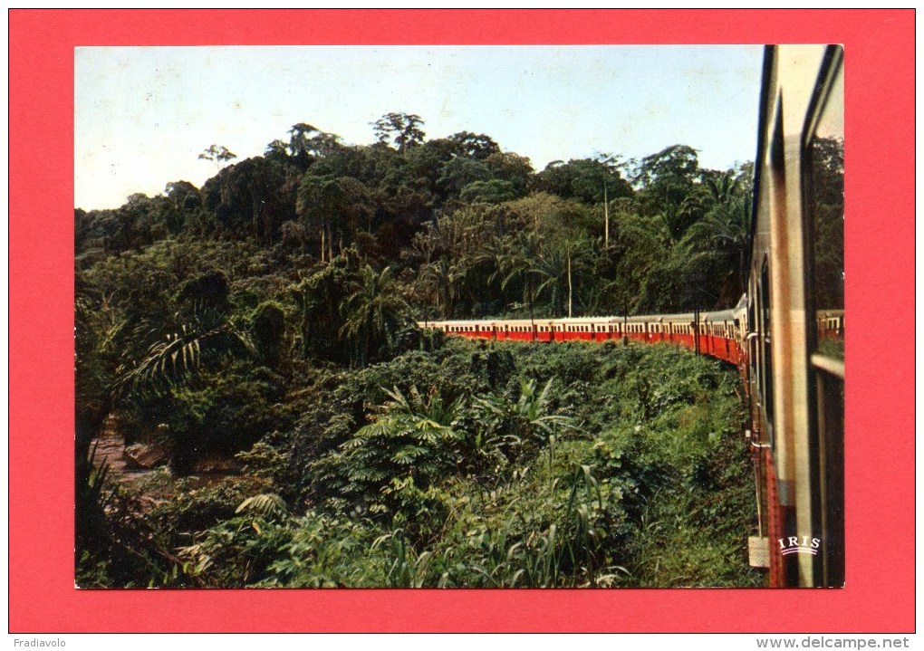 Congo - Train De Voyageurs Dans La Forêt Du Mayombe - Pointe-Noire