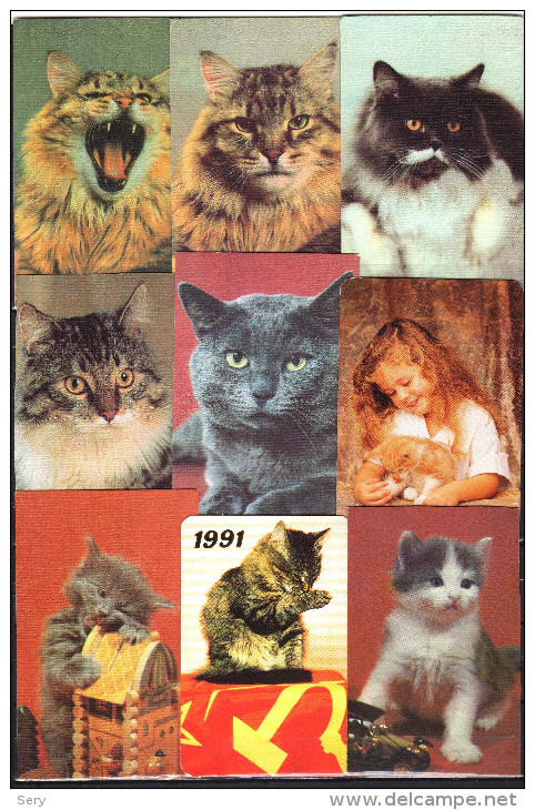 USSR 1990, 1991 Belarus 1997   9 V  Cat Cats Chat Chats - Formato Piccolo : 1991-00