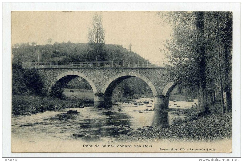 CP , 72 , SAINT-LEONARD-des-BOIS , Le Pont - Saint Leonard Des Bois