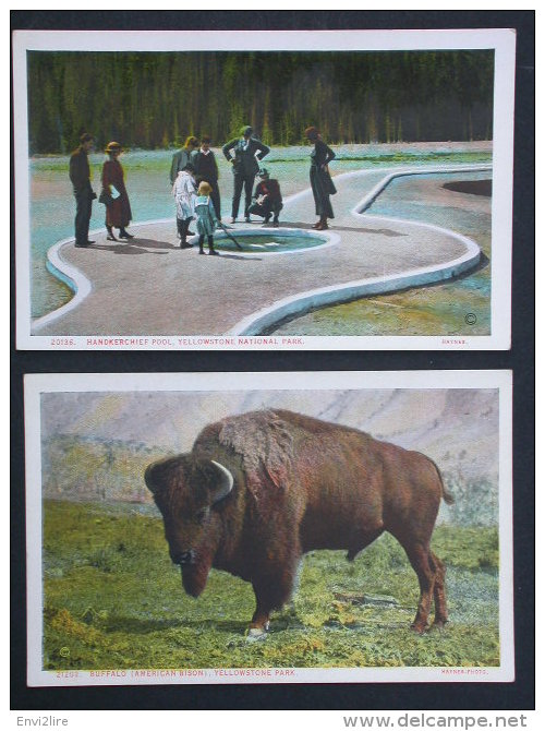 Ref3124 WA Lot De 13 Cartes Sur Le Parc De Yellowstone Park En Amérique Du Nord - Buffalo Bison - Yellowstone