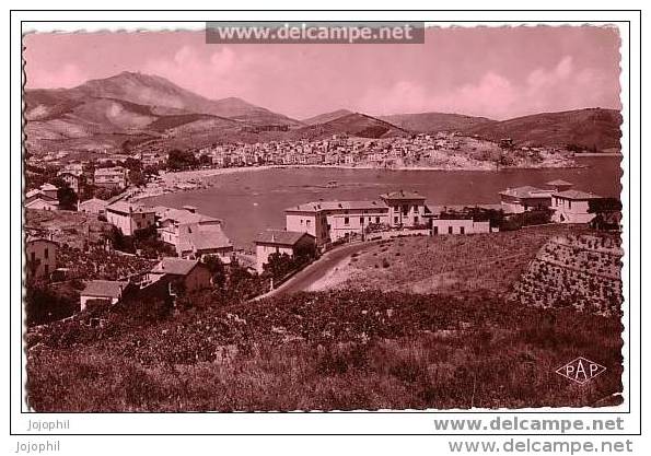 Banyuls Sur Mer- Vue Générale - Banyuls Sur Mer