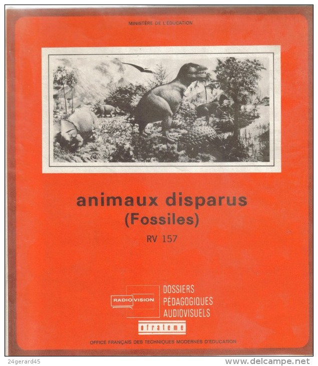 DOSSIER SCOLAIRE MINISTERE EDUCATION NATIONALE - Animaux Disparus (fossiles) : Livret Notice Incomplet 16 Diapositives - Lesekarten