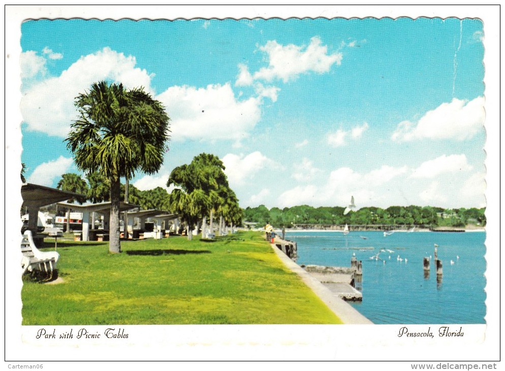 Etats Unis - Park With Picnic Tables - Pensacola Florida - Pensacola