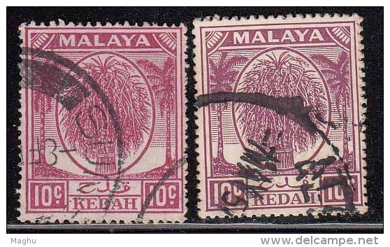 10c X 2 Colour / Shade Variety,  Kedah Used 1950, Malaya, - Kedah