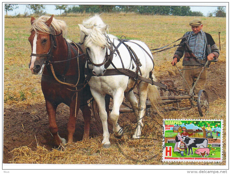 Belarus 2014 International Year Of Family Farm, Maximum Card, Horse Horses - Belarus