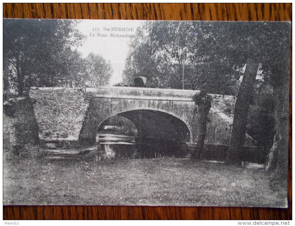 85 - SAINTE-HERMINE - Le Pont Richambeau. - Sainte Hermine