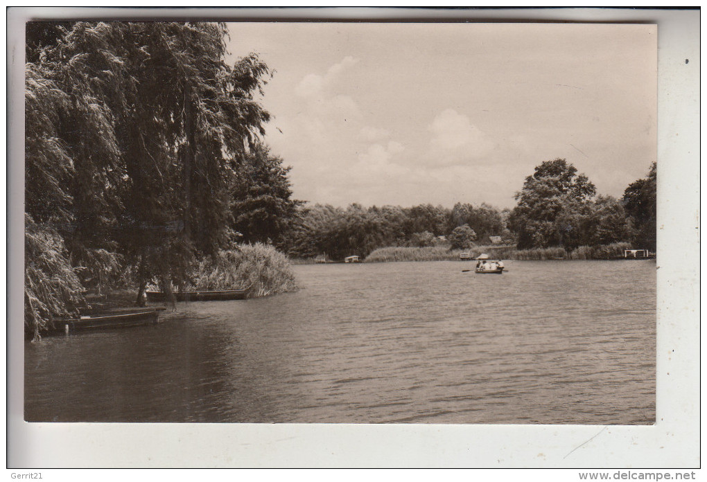 0-1601 HEIDESEE - GUSSOW, An Der Dahme, 1961 - Dahme