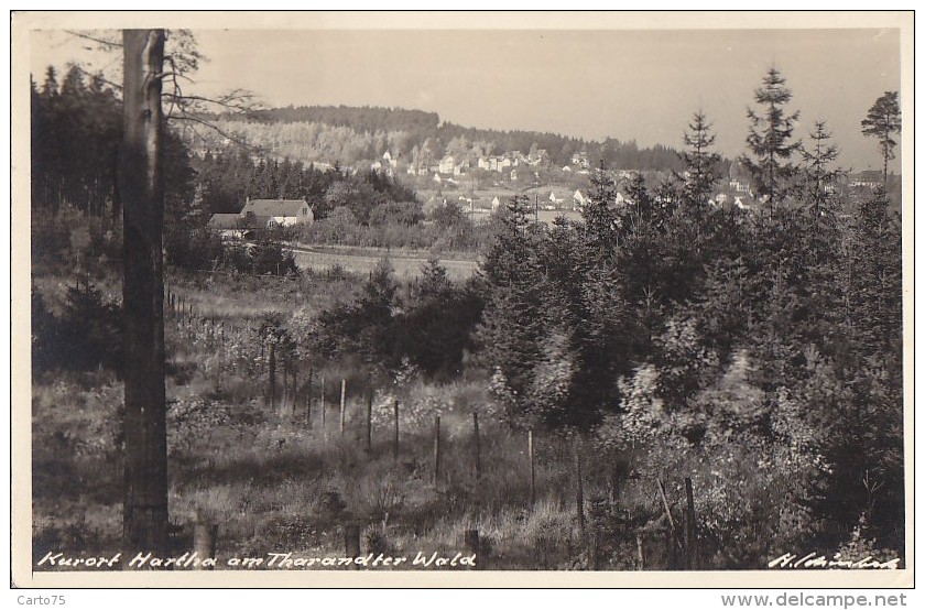 Allemagne - Carte-Photo - Kurort Hartha Am Tharandter Wald / Postmarked 1939 - Hartha