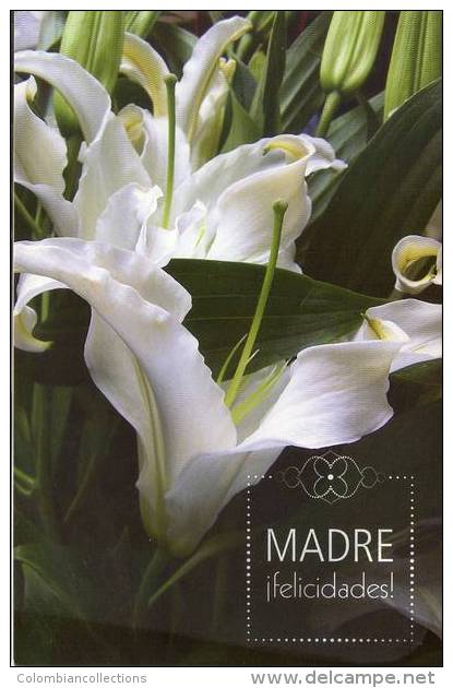 Lote PEP782, Cuba, Entero Postal, Postcard, 2008, Postal Stationary, Madre, Felicidades, Flores, Flower, Mother´s Day, 5 - Otros & Sin Clasificación