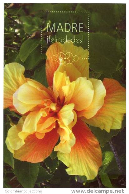 Lote PEP783, Cuba, Entero Postal, Postcard, 2008, Postal Stationary, Madre, Felicidades, Flores, Flower, Mother´s Day, 6 - Otros & Sin Clasificación