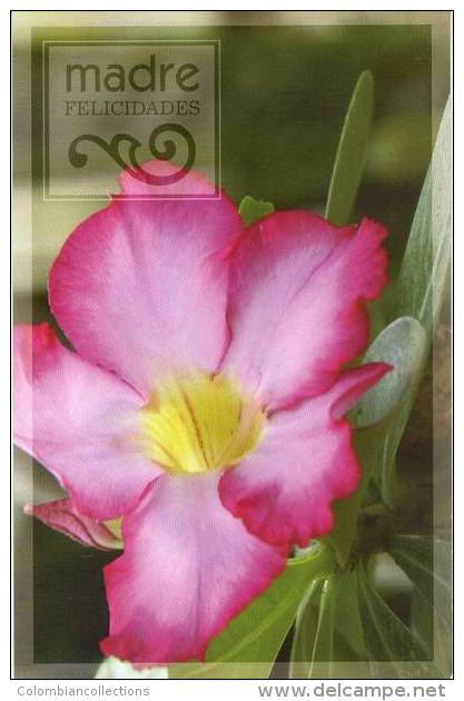 Lote PEP786, Cuba, Entero Postal, Postcard, 2008, Postal Stationary, Madre, Felicidades, Flores, Flower, Mother´s Day, 9 - Otros & Sin Clasificación