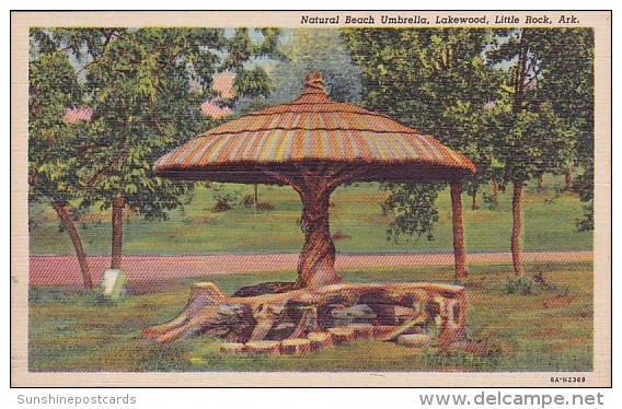 Natural Beach Umbrella Lakewood Little Rock Arkasnsas - Little Rock