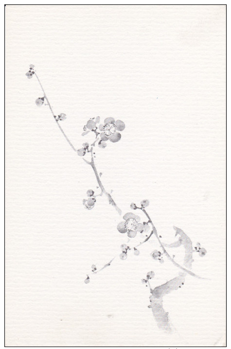 Branches With Flowers, JAPAN, 1910-1920s - Autres & Non Classés