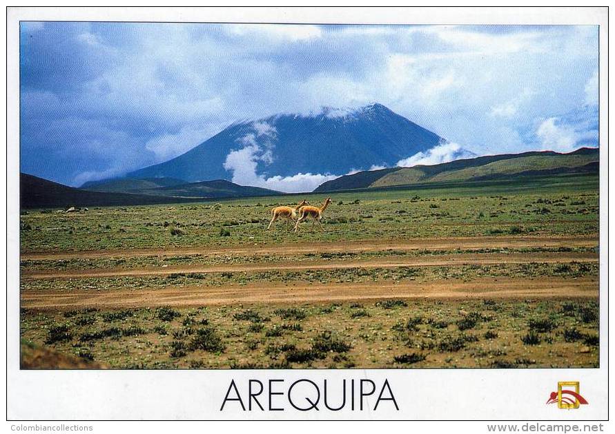 Lote PEP813, Peru, Postal, Postcard, Arequipa, Vicuñas, Volcan Misti, Volcano, Mountain, Fauna - Perú