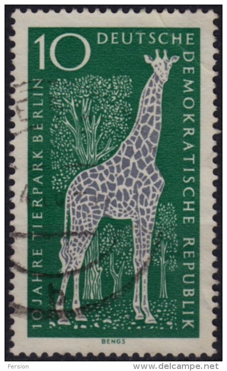 Giraffe ZOO - DDR / Used - Giraffes