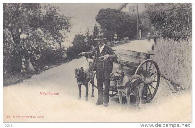 MILCHKARREN-CHIEN-TRANSPORT DU LAIT- DOS UNIQUE-N/C-TTB- - Chiens