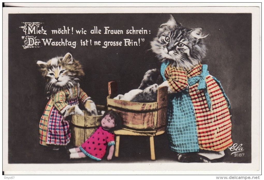 Carte Postale Montage CHAT-Animaux Personnalisé-Humanisé-Lavandière-Lessive-POUPEE-Jouet - Chats