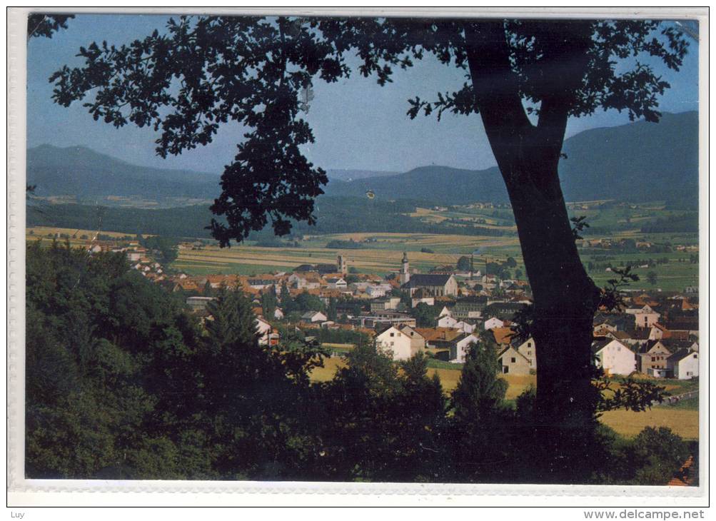 FURTH Im Wald, Panorama Mit Blick Zum Osser - Furth