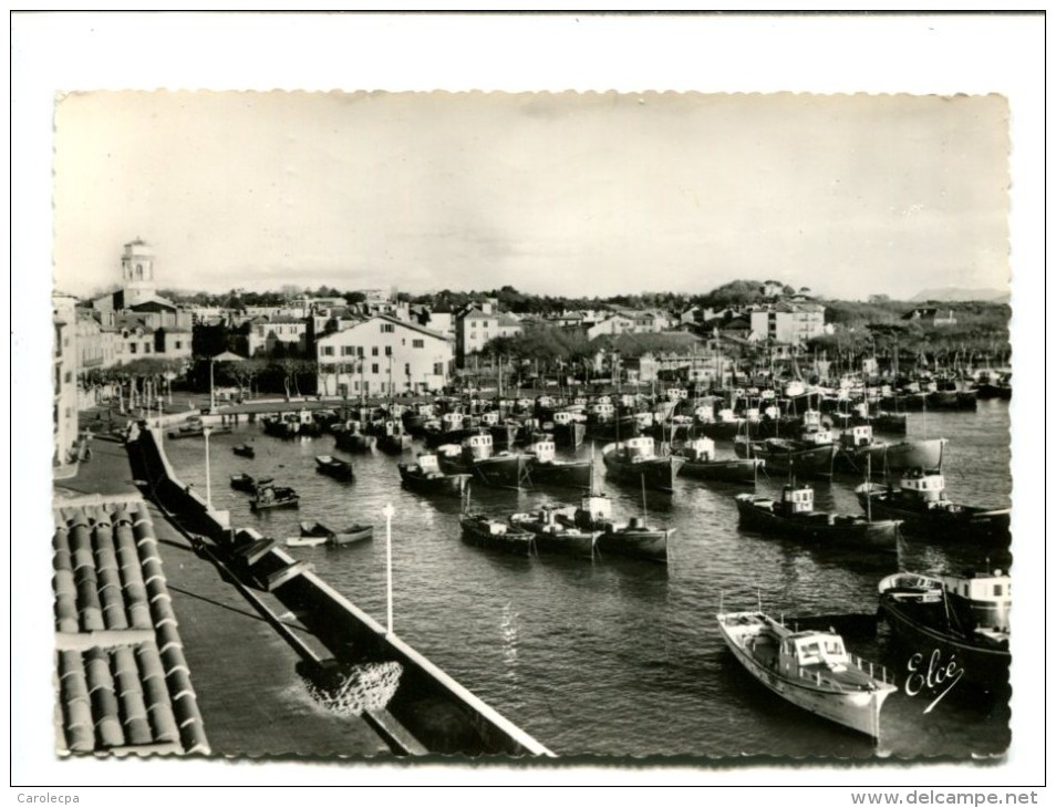 CP - SAINT JEAN DE LUZ (34) LES THONIERS DANS LE PORT - Saint Jean De Luz