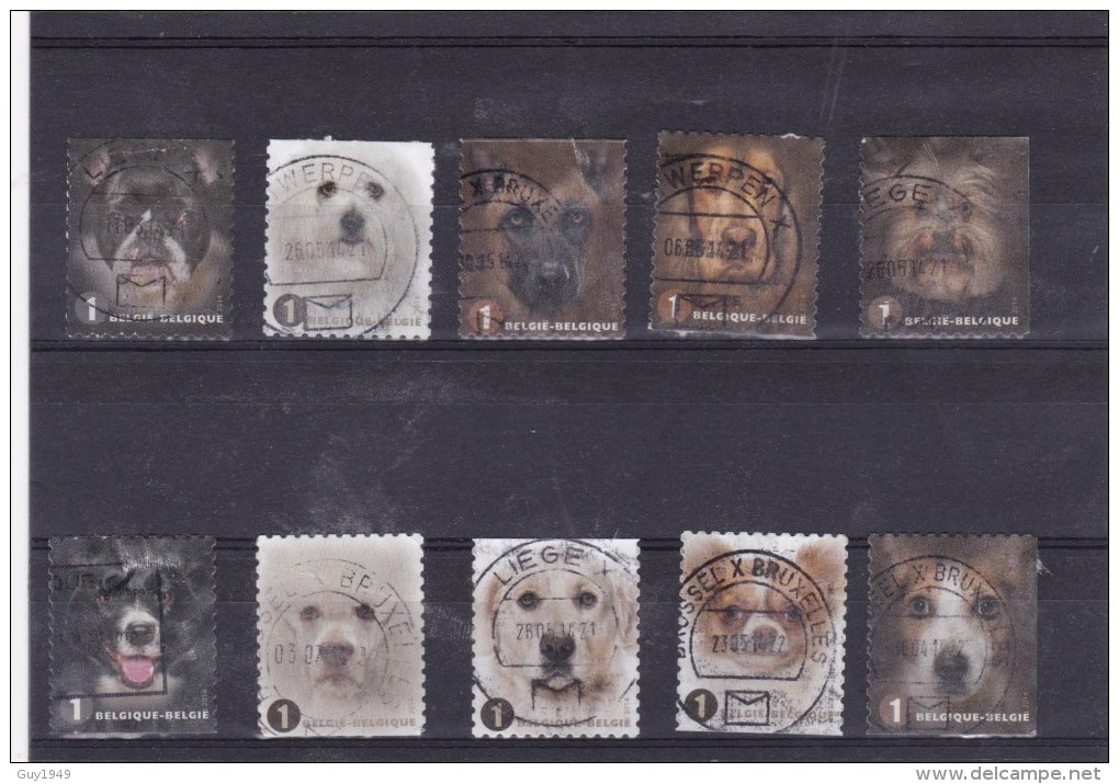 ZEGELS UIT BOEKJE  HONDEN       TIMBRES DU CARNET CHIENS - Gebruikt