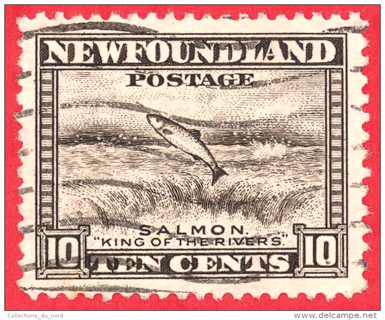 Newfoundland #  260 - 10 Cents  - O - Dated  1941-1944 - Salmon Leaping Falls /  Saumon Sautant Une Chute - 1908-1947