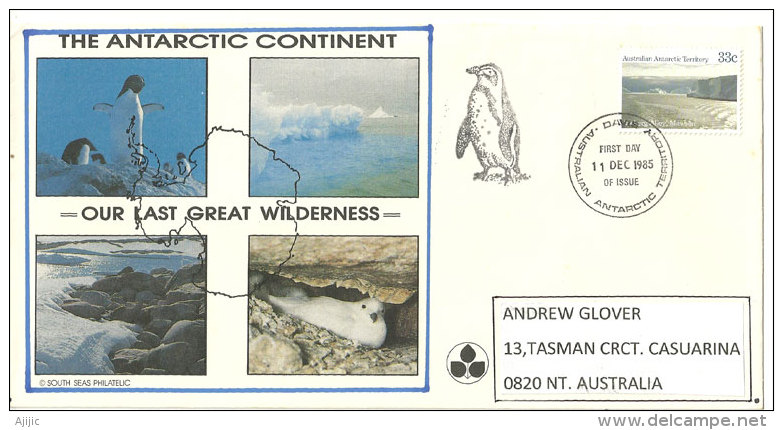 The Antarctic Continent - Our Last Great Wilderness-, Belle Enveloppe Postée à L'île HEARD (Antarctique Australien) - Brieven En Documenten