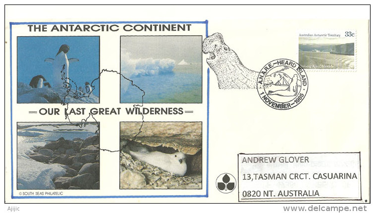 The Antarctic Continent - Our Last Great Wilderness-, Belle Enveloppe Postée à La Base Davis (Antarctique Australien) - Preservar Las Regiones Polares Y Glaciares