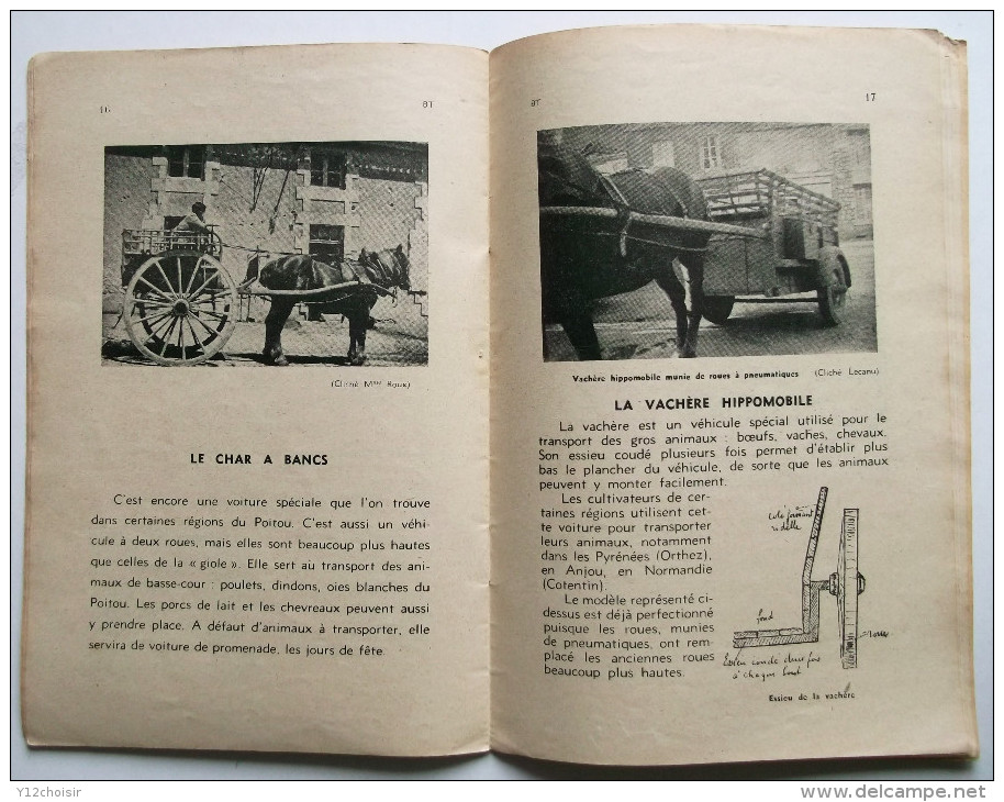 LIVRET 1954 BIBLIOTHEQUE DE TRAVAIL 260 BT TRANSPORTS D ANIMAUX ATTELAGES ATTELAGE COCHON COCHONS WAGON TRAIN CHAR - 6-12 Years Old