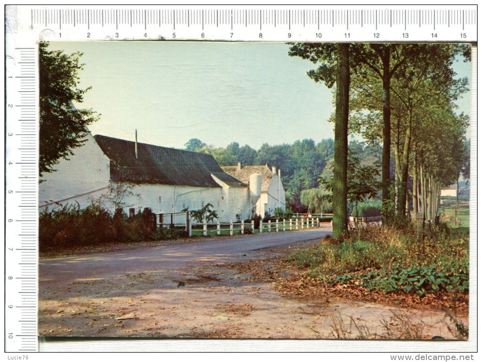 EGHEZEE -    Ferme  De    FROCOURT - Eghezée