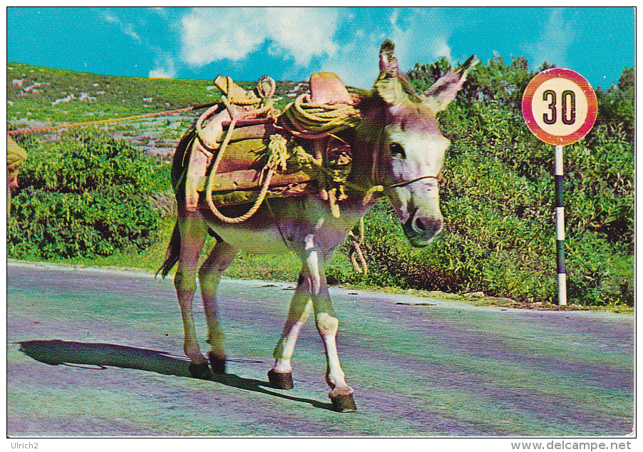 PC Croatia - Donkey  (7773) - Kroatien