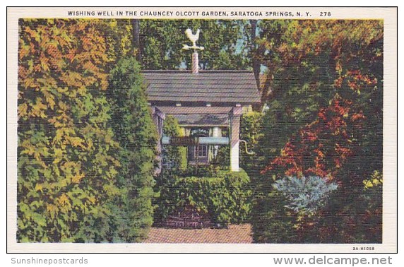 Wishing Well In The Chauncey Olcott Garden Saratoga Springs New York - Saratoga Springs