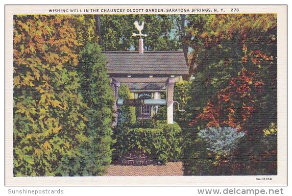 Wishing Well In The Chauncey Olcott Garden Saratoga Springs New York - Saratoga Springs