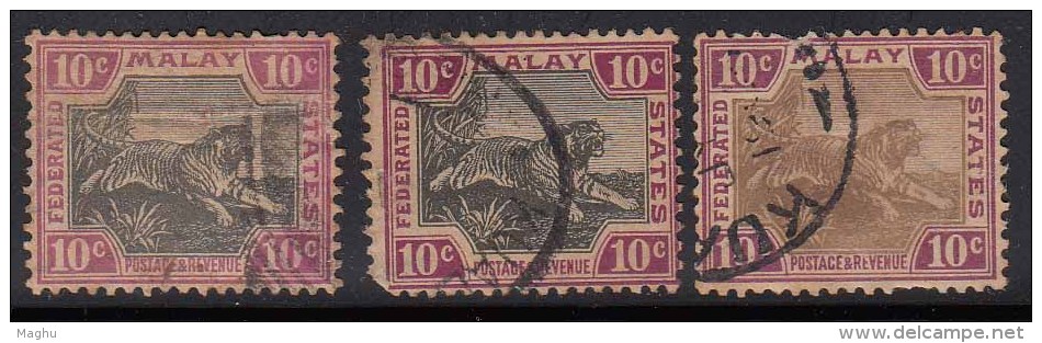 10c Tiger, 3 Diff.,  Tiger Motif, Federated Malay State, Malaya As Scan - Federated Malay States