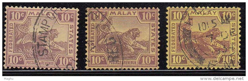 10c Tiger, 3 Diff.,  Tiger Motif, Federated Malay State, Malaya As Scan - Federated Malay States