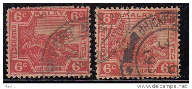 6c Tiger, 2 Diff.,  Tiger Motif, Federated Malay State, Malaya As Scan - Federated Malay States