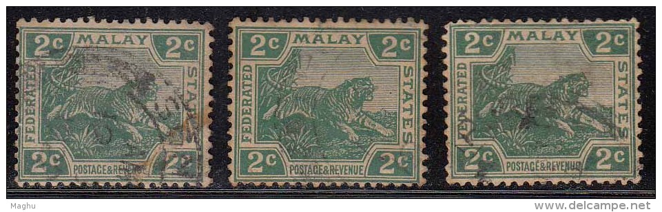 2c Tiger, 3 Diff.,  Tiger Motif, Federated Malay State, Malaya As Scan - Federated Malay States