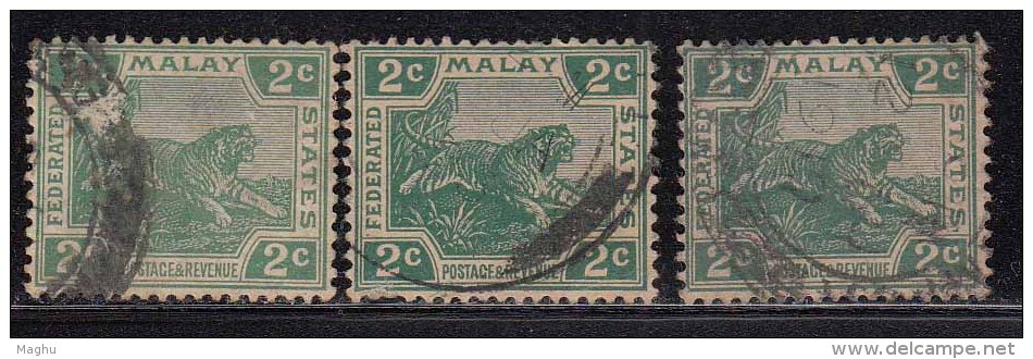 2c Tiger, 3 Diff.,  Tiger Motif, Federated Malay State, Malaya As Scan - Federated Malay States