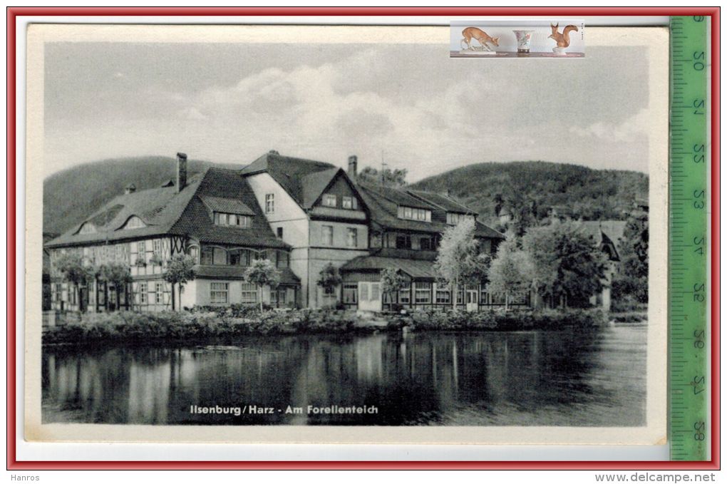 Ilsenburg/Harz-Am Forellenteich, Verlag: Willi Koch, Halberstadt,  POSTKARTE, Erhaltung: I-II, Unbenutzt - Ilsenburg