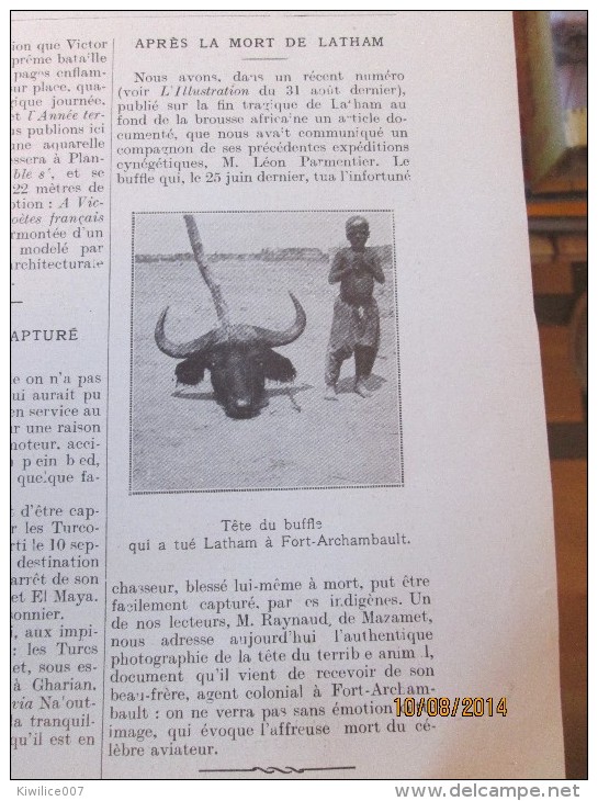 1912  La Mort De Latham   Tete Du Buffle  Qui A Tué Latham A Fort-Archambault - Tchad