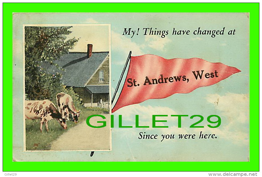 ST ANDRES, WEST, SCOTLAND - MY ! THINGS HAVE CHANGED... SINCE YOU WERE HERE - - Fife