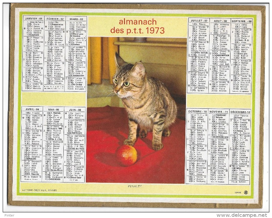 CALENDRIER - ALMANACH DES POSTES ET DES TELEGRAPHES - ANNEE 1973 - Chat -  REGION PARISIENNE - Grand Format : 1971-80