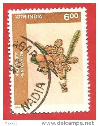 INDIA USATO - 1997 - Birbal Sahni Institute Of Palaeobotany, Lucknow - Pentoxylon - 6 &#8360;  - Michel IN 1570 - Oblitérés