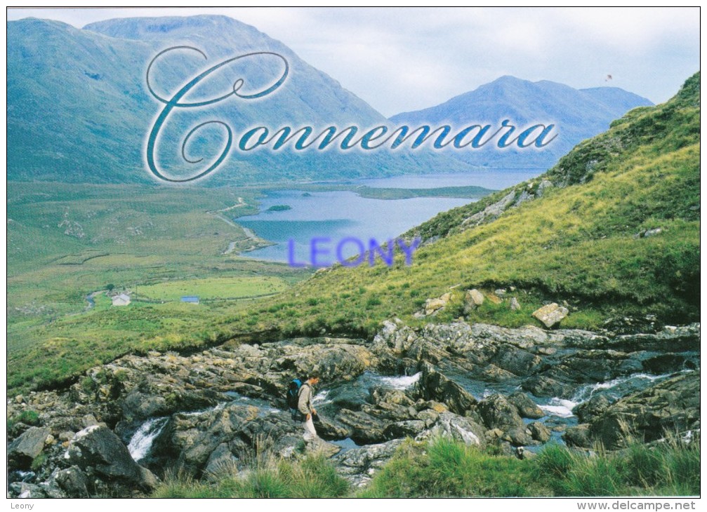 CPM D' IRLANDE - CONNEMARA CO. GALWAY - Galway