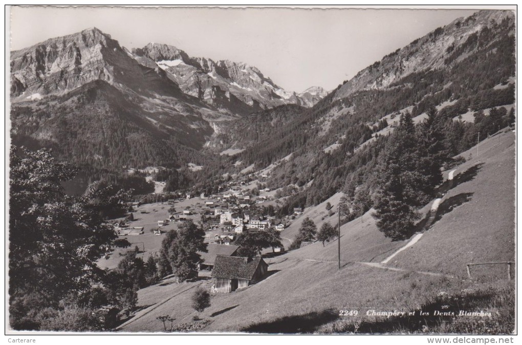 SUISSE,SCHWEIZ,SVIZZERA,S WITZERLAND,HELVETIA,SWISS ,VALAIS,Champéry En 1950,Monthey,VAL D´LLIEZ,belle Vue - Champéry